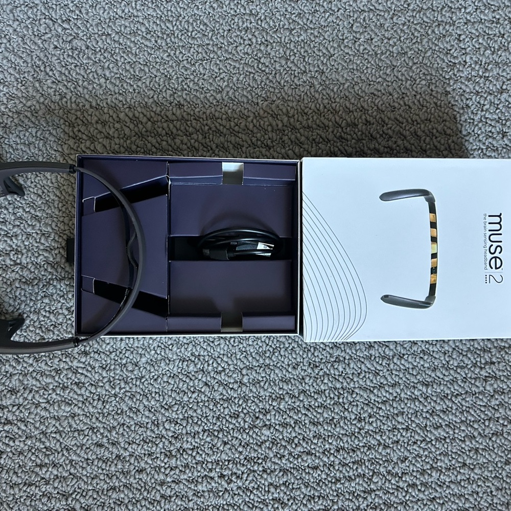 Muse 2 Black and Gold VR Headset